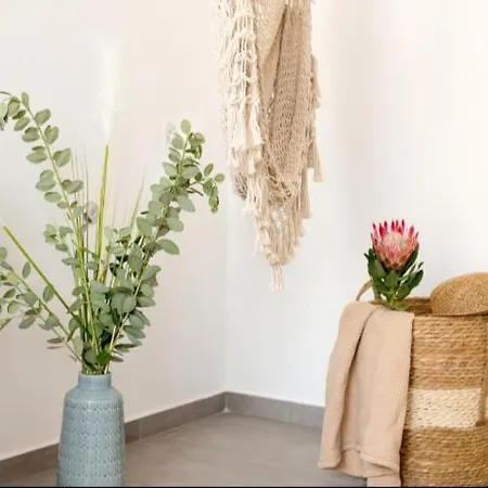 Apartment Hause Vite Aerea
